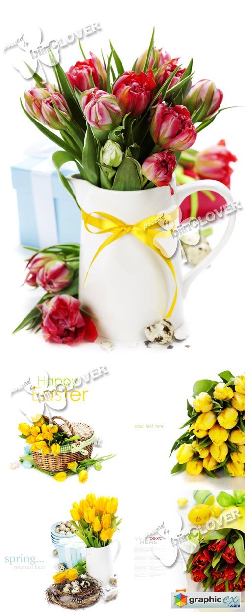 Easter and spring flowers 0384